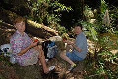 0995 Mossman Gorge